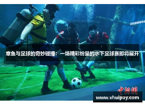 章鱼与足球的奇妙碰撞：一场精彩纷呈的水下足球赛即将展开