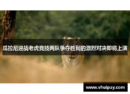 瓜拉尼迎战老虎竞技两队争夺胜利的激烈对决即将上演